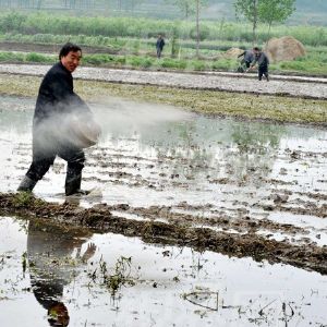 农民种什么?昔日围着补贴转 今天订单说了算